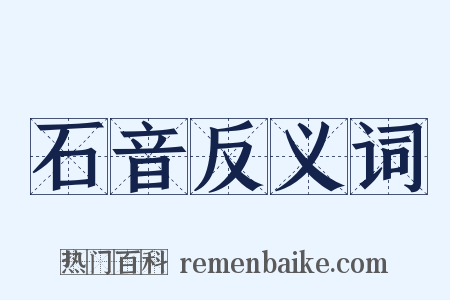 石音反义词是什么意思的图片